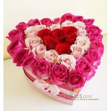 Sweet Passion